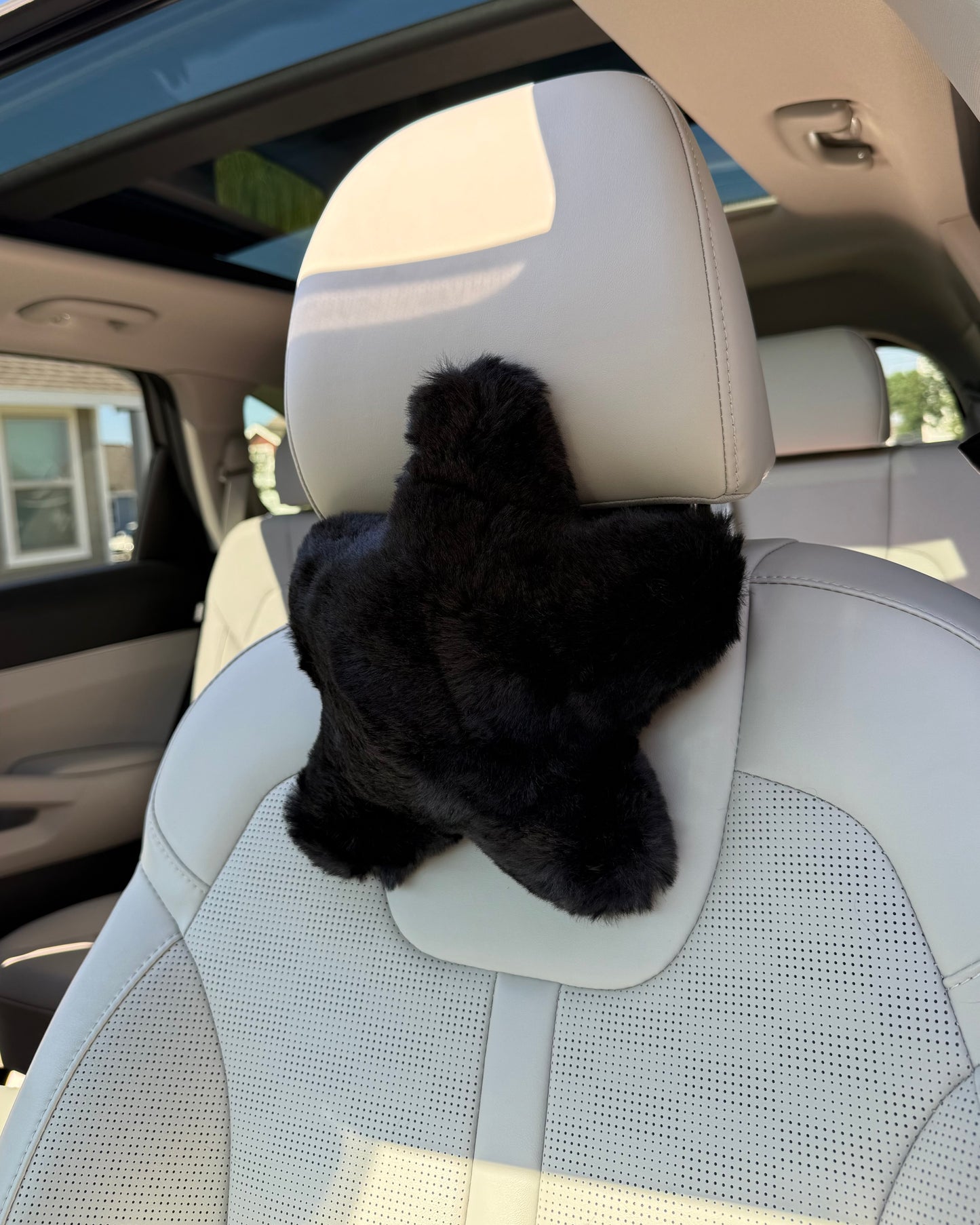 Black Star Headrest Pair