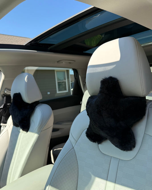 Black Star Headrest Pair